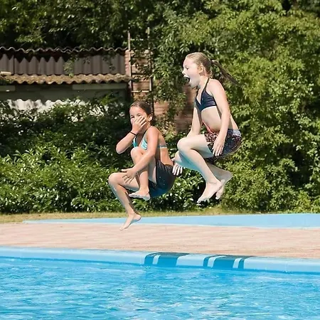 Sfeervol In Het Bos Chalé