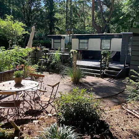 Chalet Sfeervol In Het Bos *