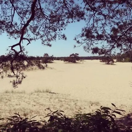 Sfeervol In Het Bos 샬레 *