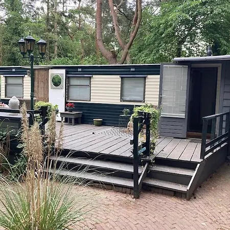 Sfeervol In Het Bos * Nunspeet