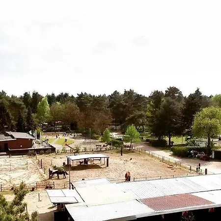 Sfeervol In Het Bos Nunspeet