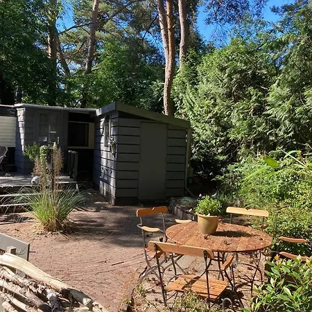 Sfeervol In Het Bos 샬레