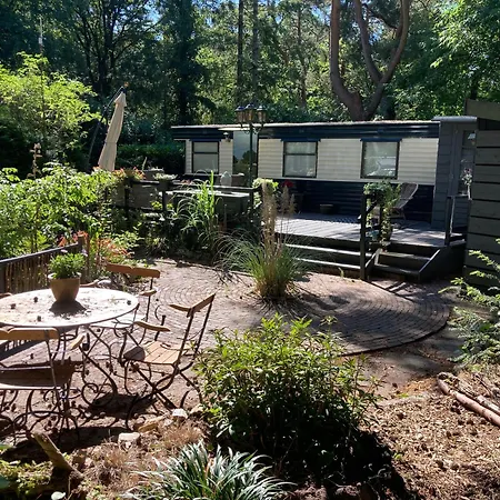 Chalet Sfeervol In Het Bos *