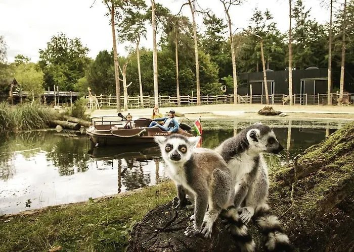 Chalé Sfeervol In Het Bos *