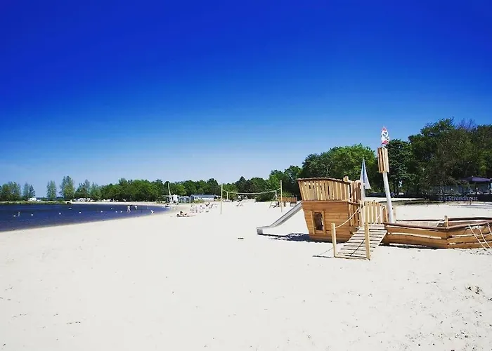 Sfeervol In Het Bos * Nunspeet