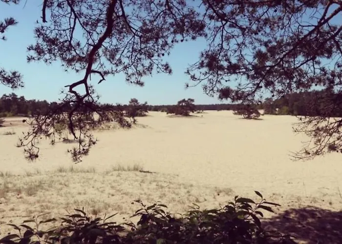 Sfeervol In Het Bos Chalé *