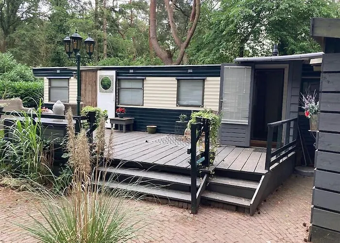 Sfeervol In Het Bos * Nunspeet