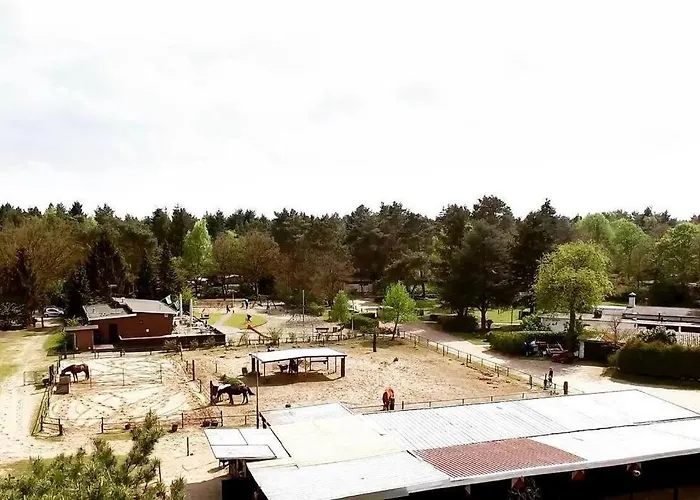 Sfeervol In Het Bos Nunspeet