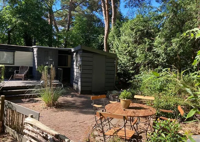 Sfeervol In Het Bos Chalé